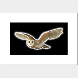 Barn Owl Glow Posters and Art